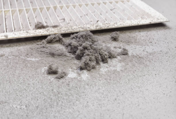 Best Home Air Vent Cleaning  in Mcchord Af, WA